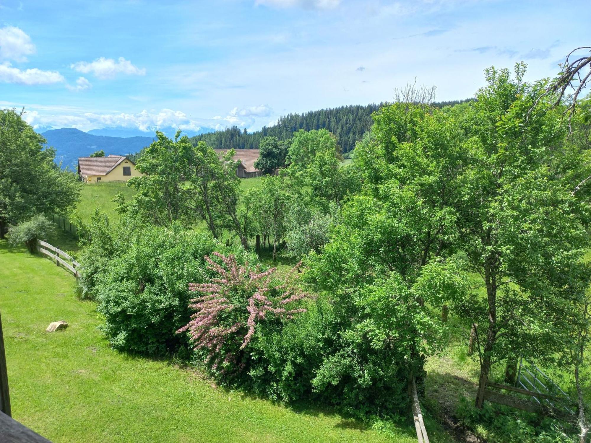 Steurer Hof Lägenhet Liebenfels Exteriör bild