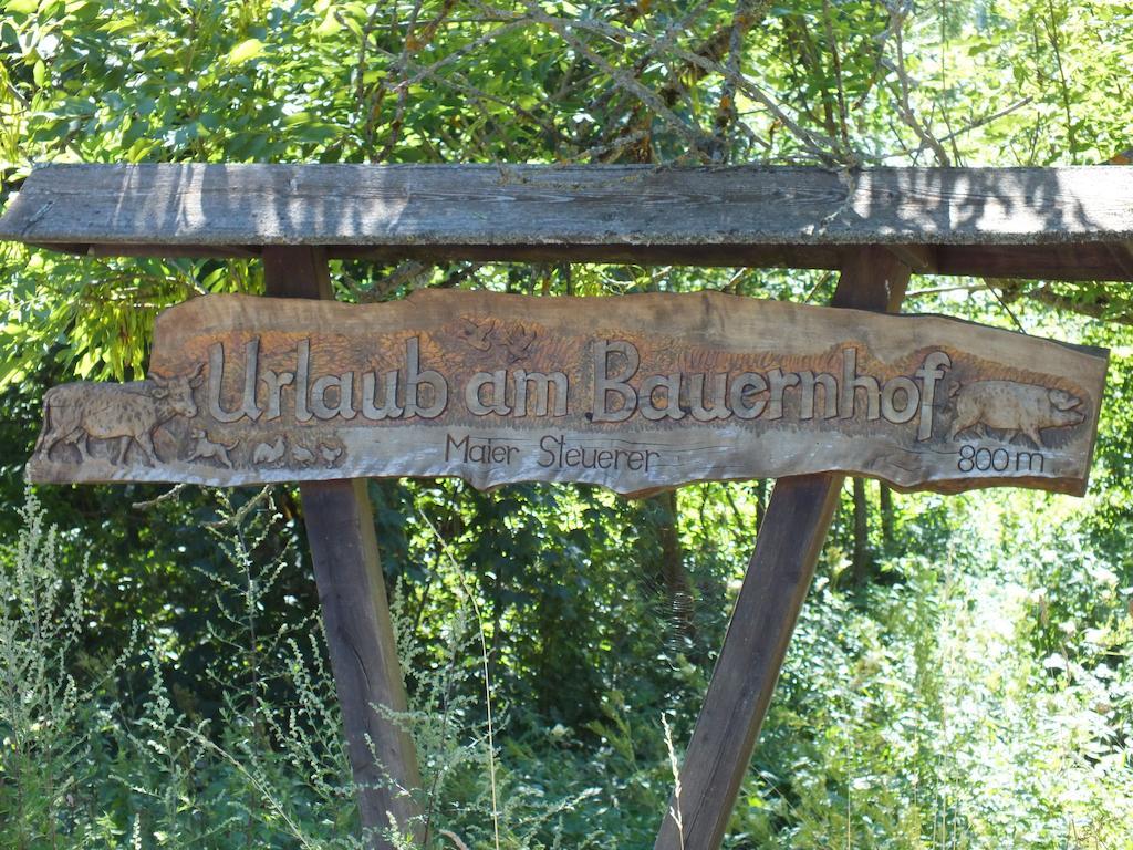 Steurer Hof Lägenhet Liebenfels Exteriör bild